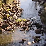 Casas Do Patio Country & Nature Country house Caldas da Felgueira
