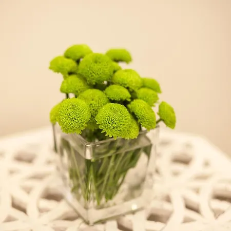 Landhuis Casas Do Patio Country & Nature