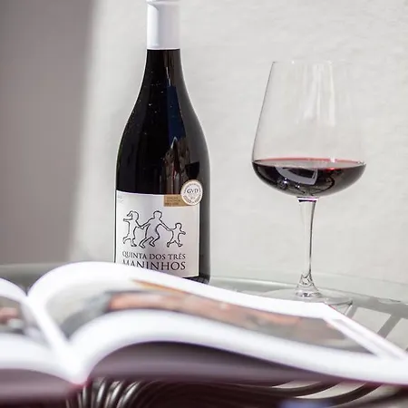 Casas Do Patio Country & Nature Caldas da Felgueira