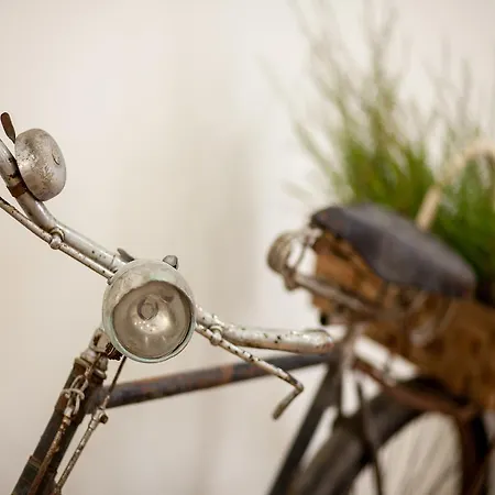 Hétvégi ház Casas Do Patio Country & Nature *