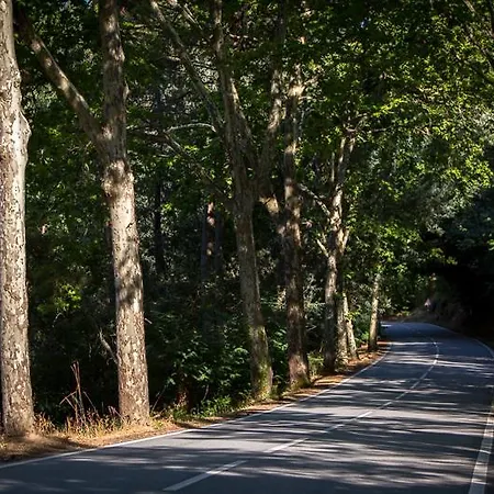 Casas Do Patio Country & Nature Landhuis Caldas da Felgueira