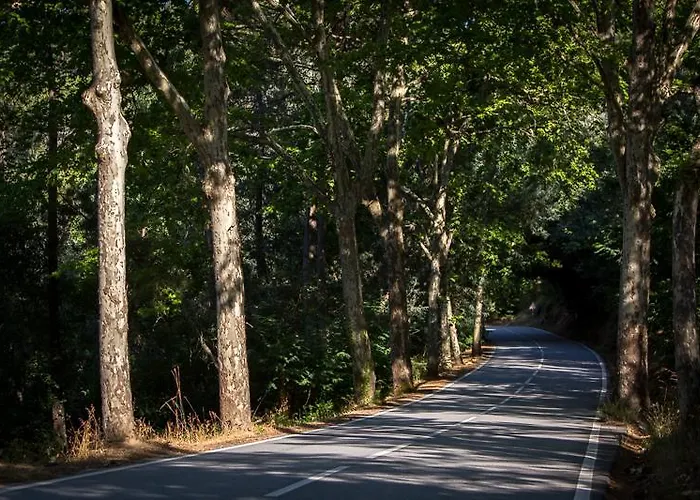 Casas Do Patio Country & Nature Εξοχικό σπίτι Caldas da Felgueira